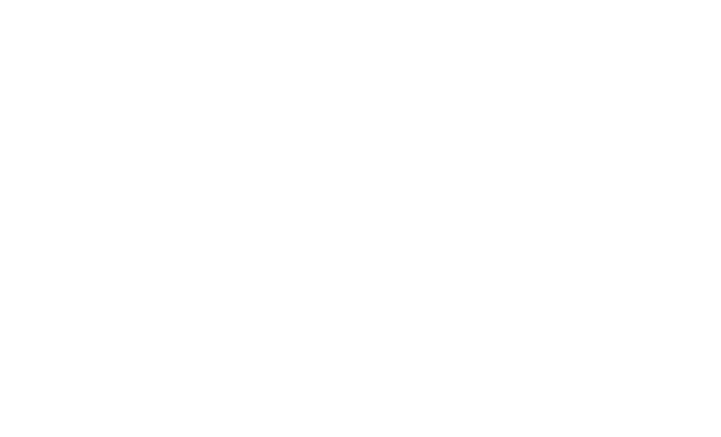 salewa